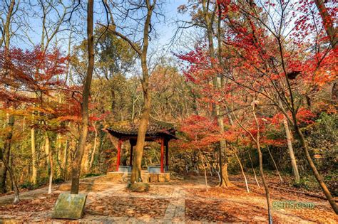 南京山|栖霞山风景名胜区